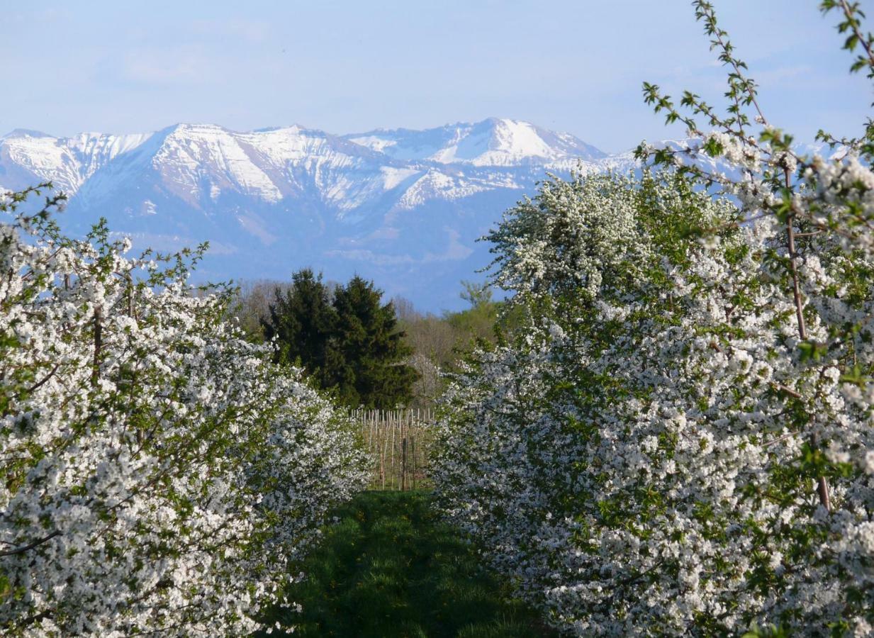 Ferienwohnung Am Tuniswald Langenargen Εξωτερικό φωτογραφία